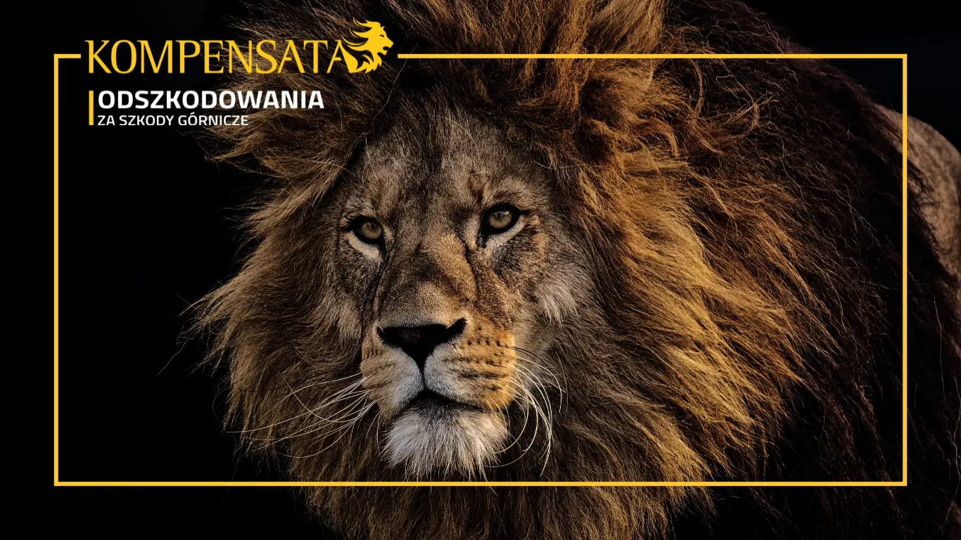 szkody_górnicze