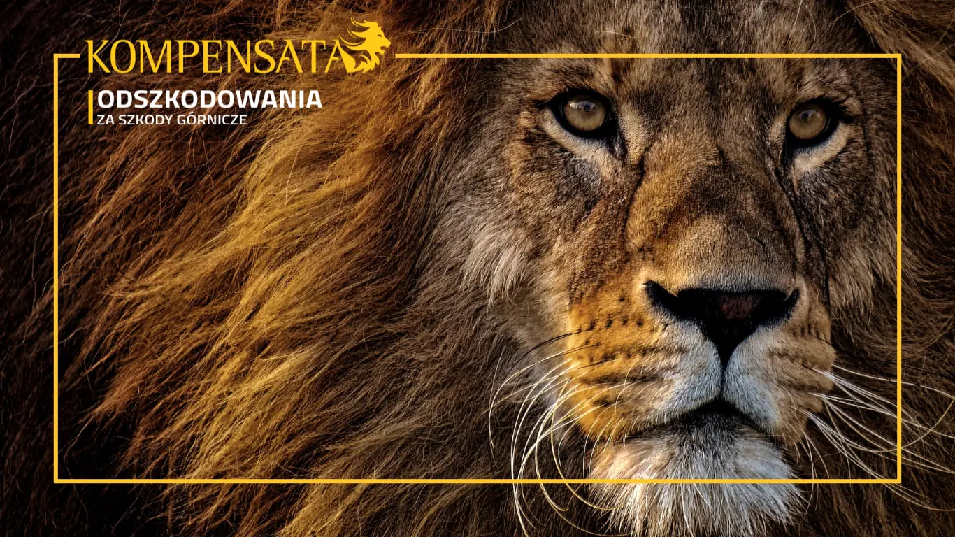 szkody_górnicze