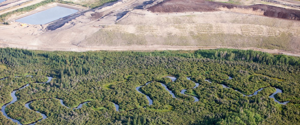 restytucja naturalna